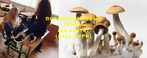 винт Нягань