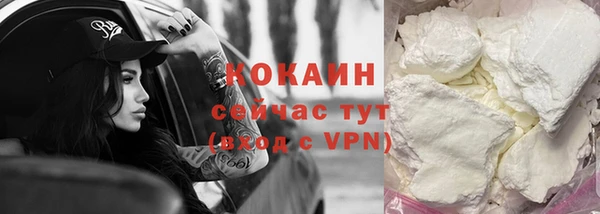 винт Нягань